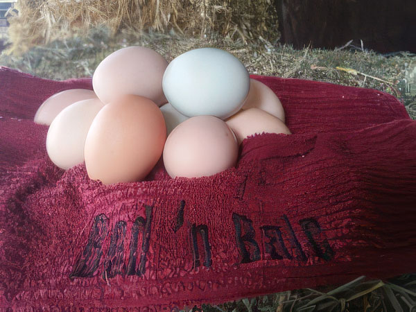 Bed N Bale Whitefish MT Vaction VRBO Rental