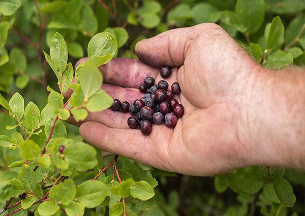 Whitefish MT Vactional Rentals - VRBO short term stay - Near Glacier Park